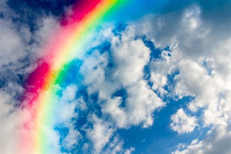 l'Arcobaleno .